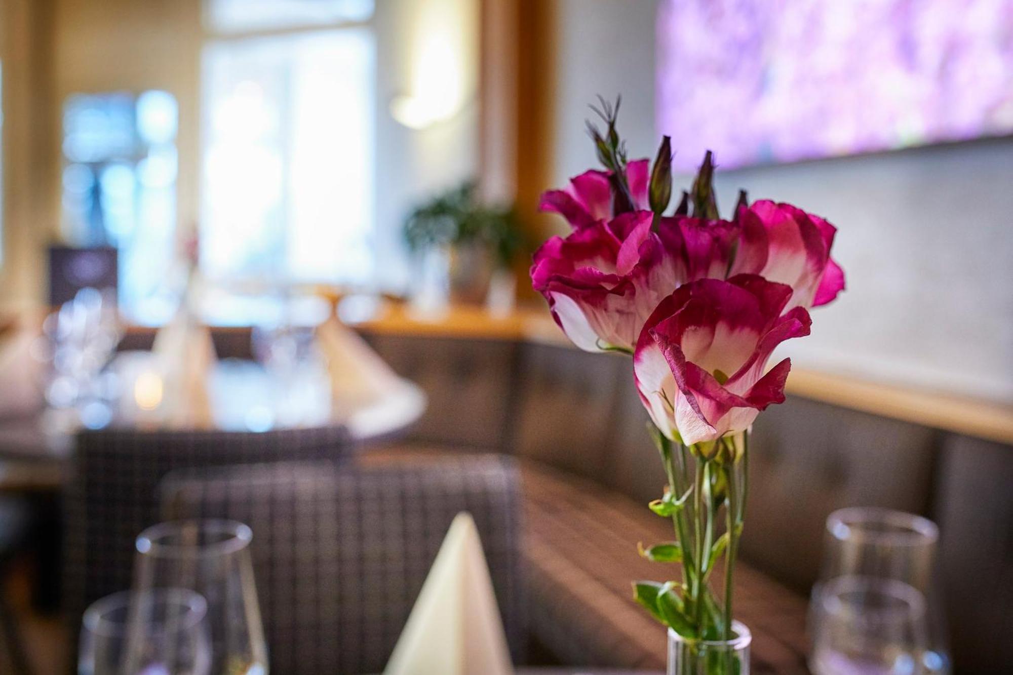 Hotel Pergola Im Goebels Hotel Rodenberg Rotenburg an der Fulda Ngoại thất bức ảnh